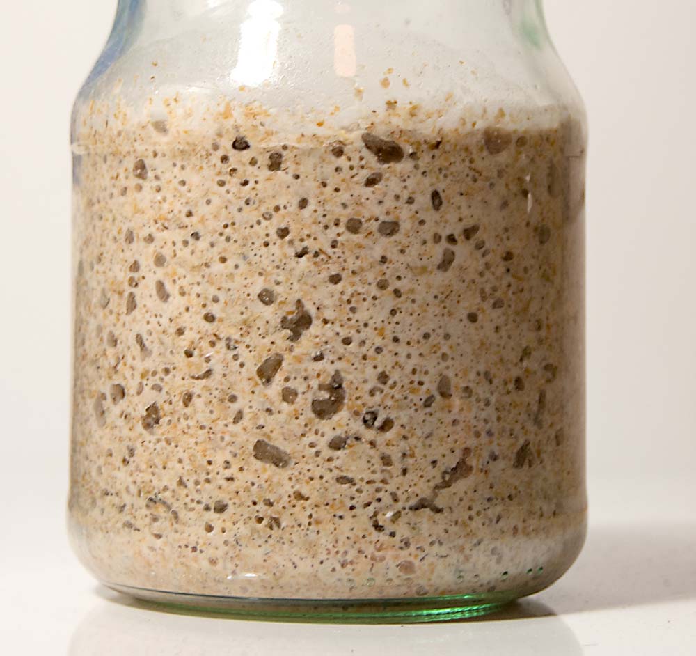 Different Ways To Wake Up Your Sourdough Starter Post No 1 Sourdough Olives